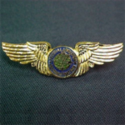 FAA Wing Pin – ACEA Bookstore